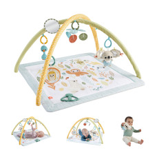 Fisher-Price HRB15 baby gym/play mat