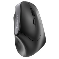 CHERRY MW 4500 mouse