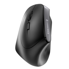 CHERRY MW 4500 mouse