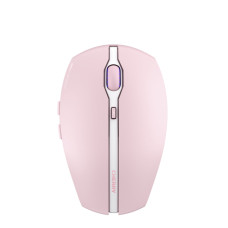 CHERRY GENTIX BT mouse