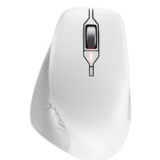 CHERRY JW-8550-0 mouse