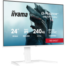 iiyama G-MASTER GB2471HSU-W1 computer monitor