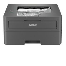 Brother HL-L2402D laser printer