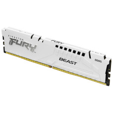 Kingston Technology FURY Beast memory module