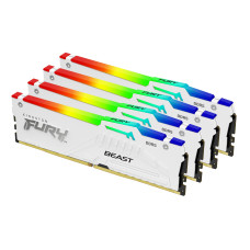 Kingston Technology FURY Beast RGB memory module