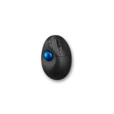 Kensington Pro Fit Ergo TB450 mouse